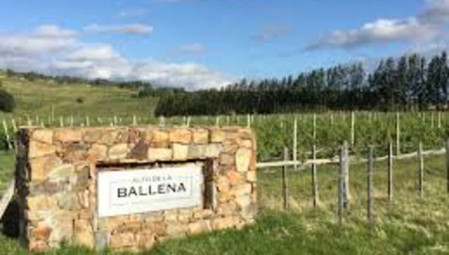 Desgracia con suerte