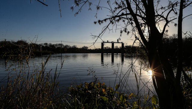 Escribe Adriana Balcarcel