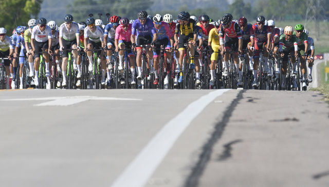 En el anca de un Piojo