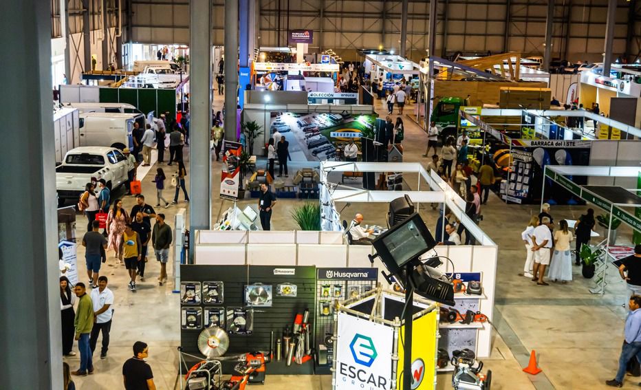 Donde se proyecta el mañana