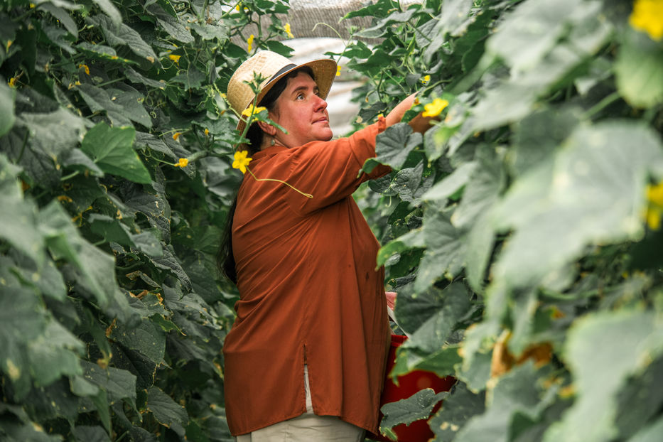 Cedida a Montevideo Portal