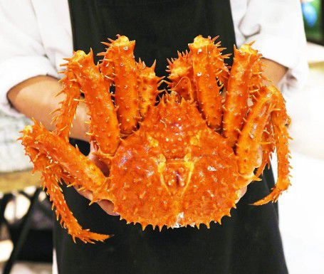 No solo viven a pizza