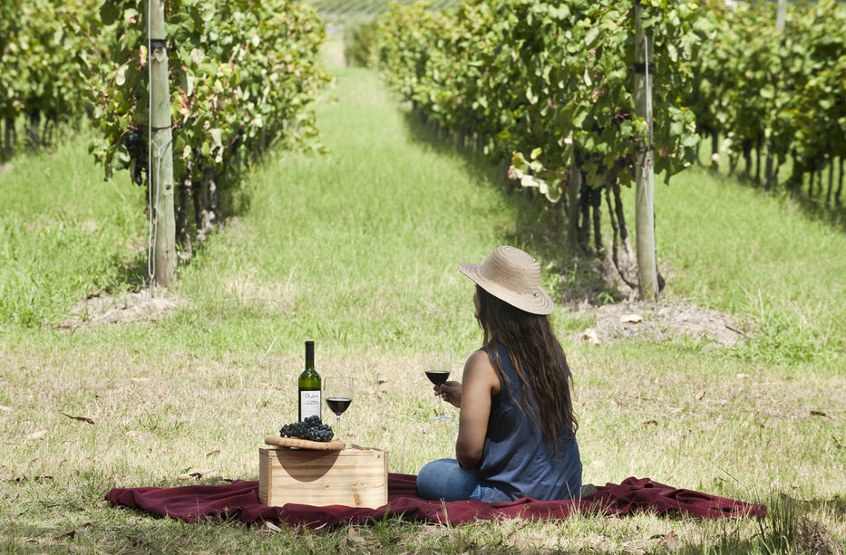 Foto: cedida por Mintur a Montevideo Portal