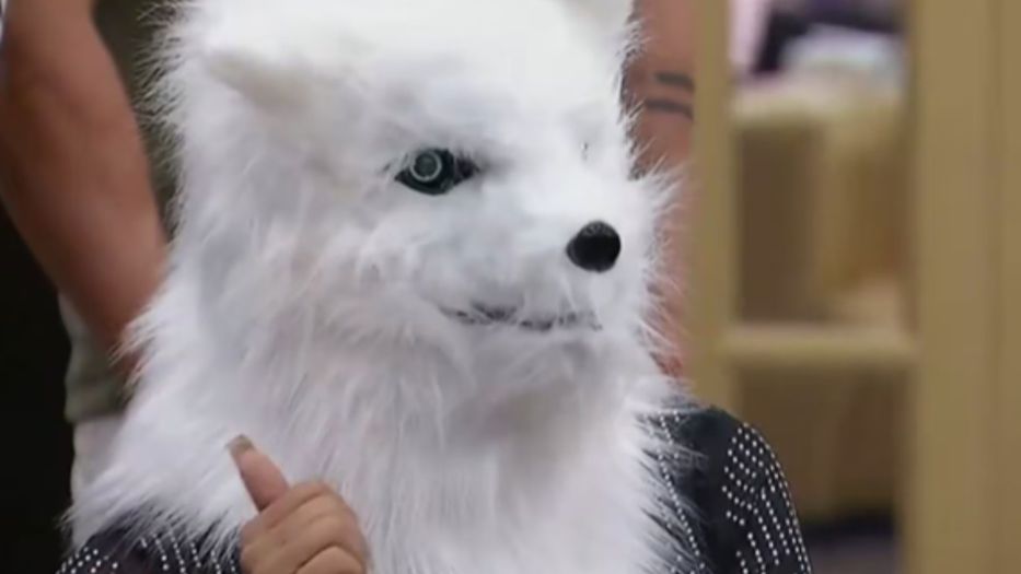 What does the fox say?