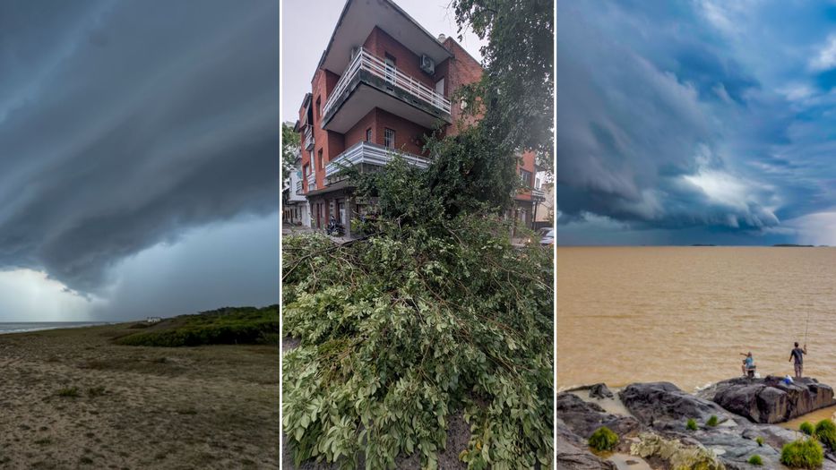 Naturaleza indomable