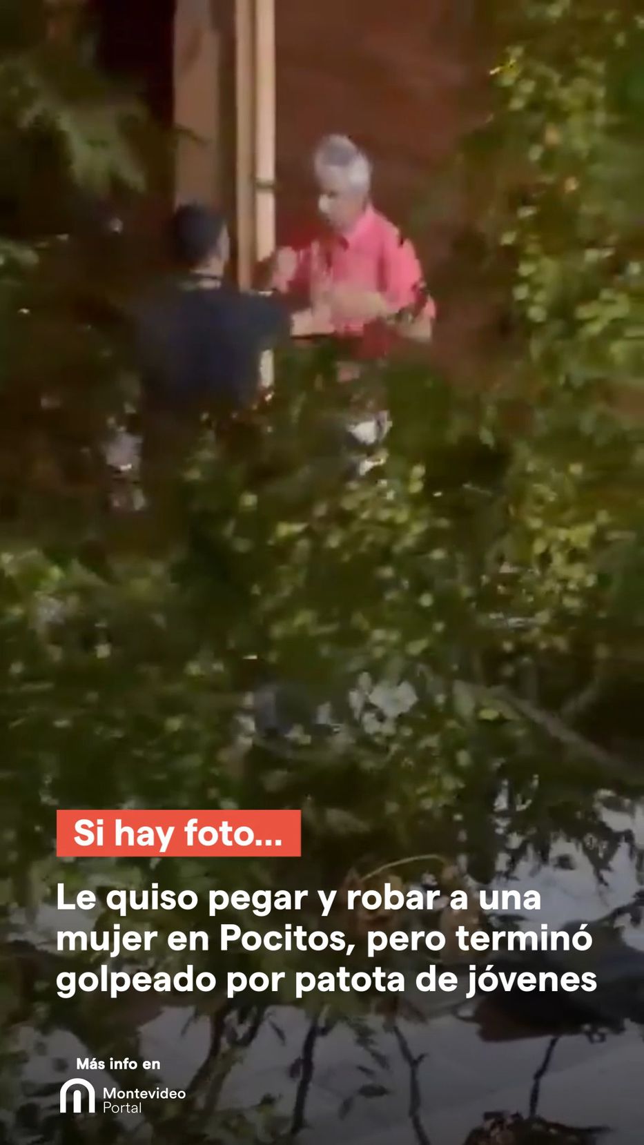 Publicación instagram 18103793767921216 de 2026-03-17 17:39:06