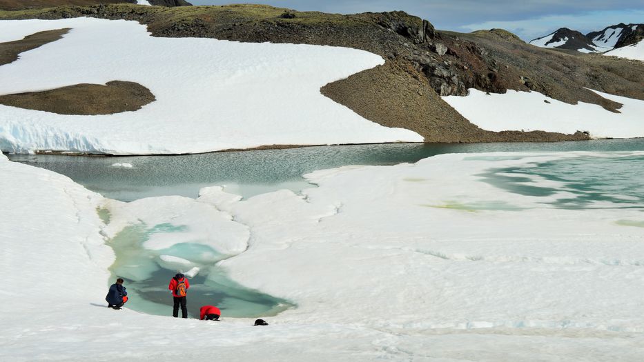 Foto: cedida a Montevideo Portal