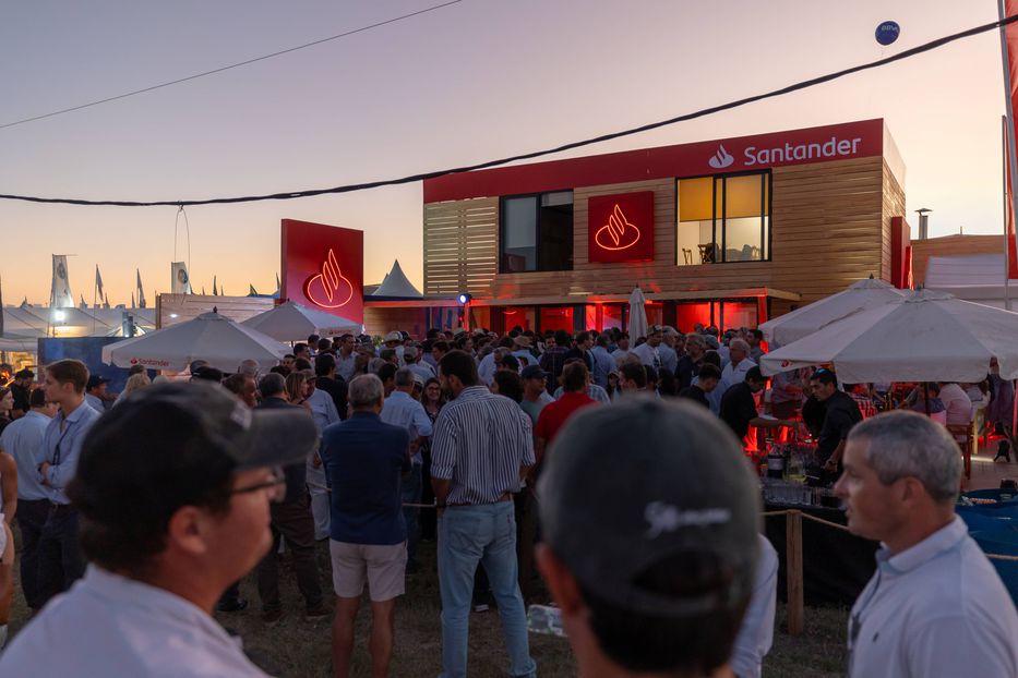 Cultivar oportunidades