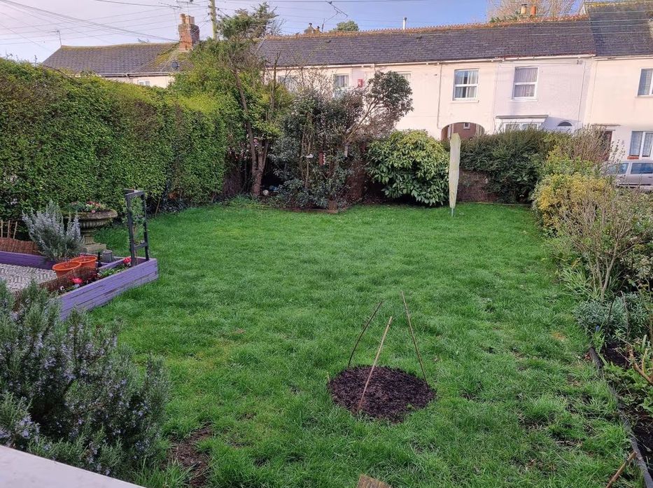 El patio de la casa de Paul