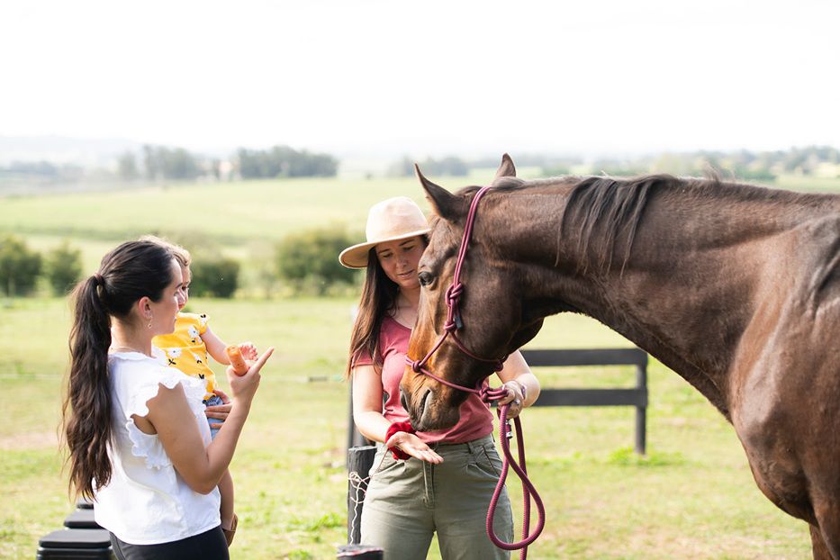 Foto: cedida a Montevideo Portal