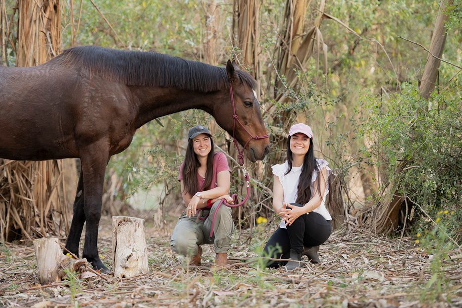 La salud en movimiento