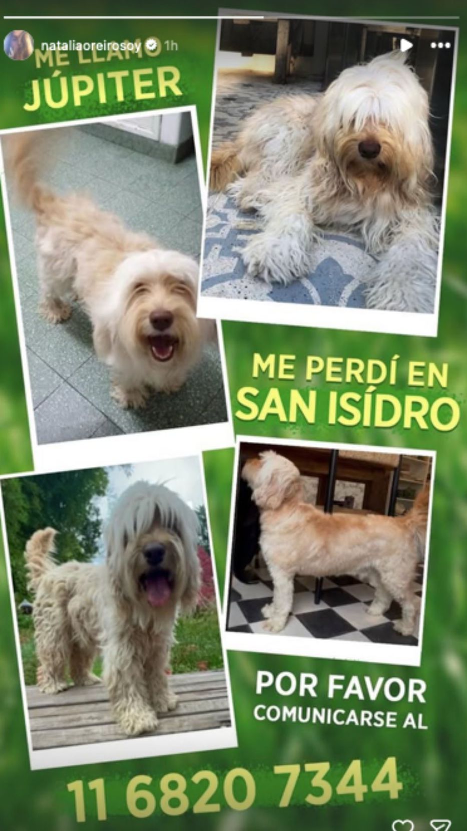 Foto: Instagram/ @nataliaoreirosoy