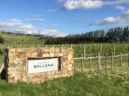 Desgracia con suerte