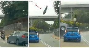 Lamentable y evitable