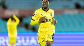 Un vallenato, desesperado