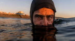 Naturaleza irreverente