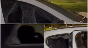 A pesar de las láminas