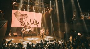 La danza de los Mirlos