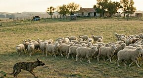 A ponerse las piletas