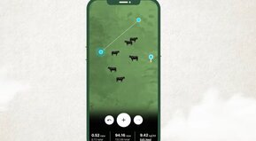 Las vacas voladoras