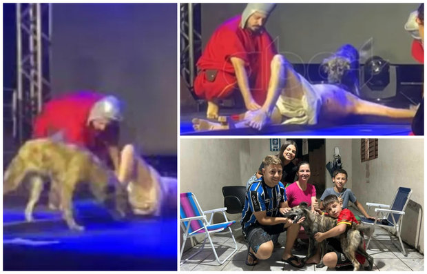 Bien de Pascua: perrita quiso “salvar” a Jesús de la cruz y consiguió un hogar