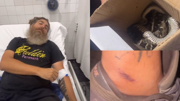 Influencer español fue mordido por una yarará en Treinta y Tres y mataron al animal