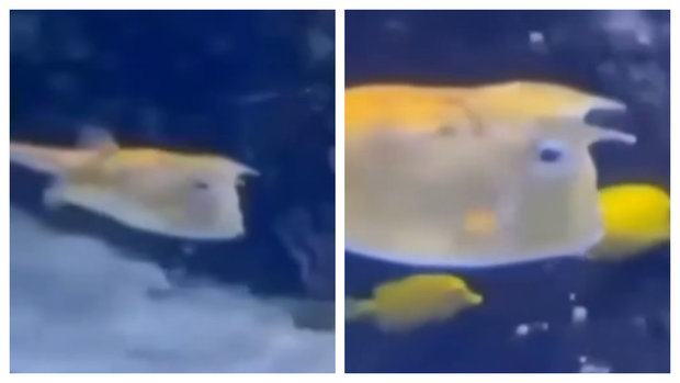 Foto captura de redes sociales