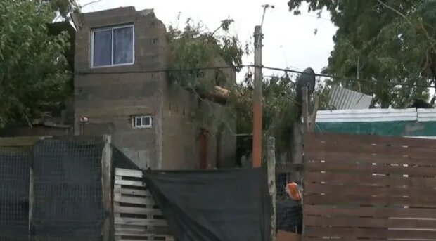 Brutal: una mujer sufrió cortes en el hígado por un árbol se desplomó sobre su casa