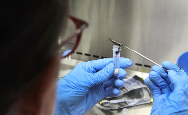 Foto: Ministerio de Educación y Cultura