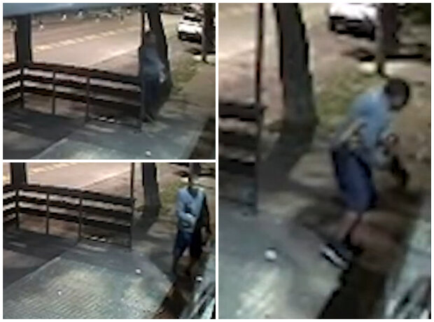 Robaron un conocido bar en Malvín: rompió un vidrio y, en un minuto, accedió al local