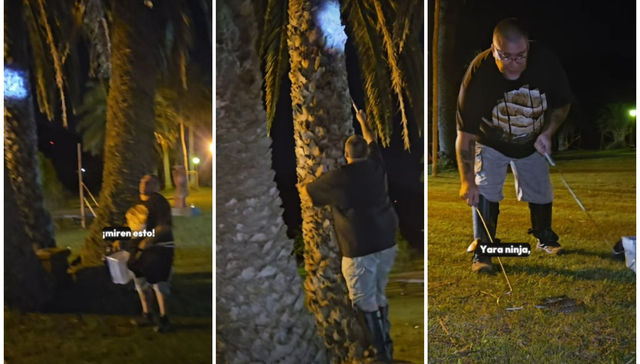 Que se coma los picudos