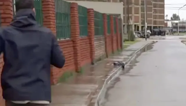 El trípode hizo flash