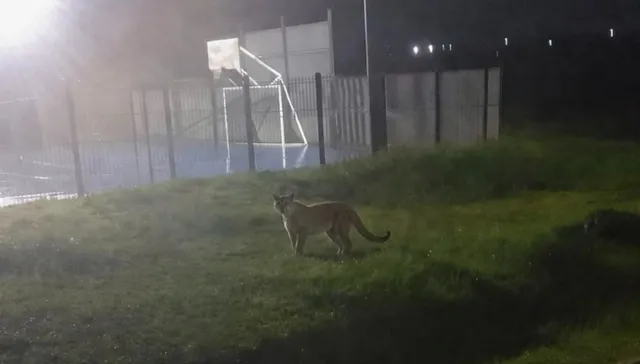 Agárrenlo de las manos