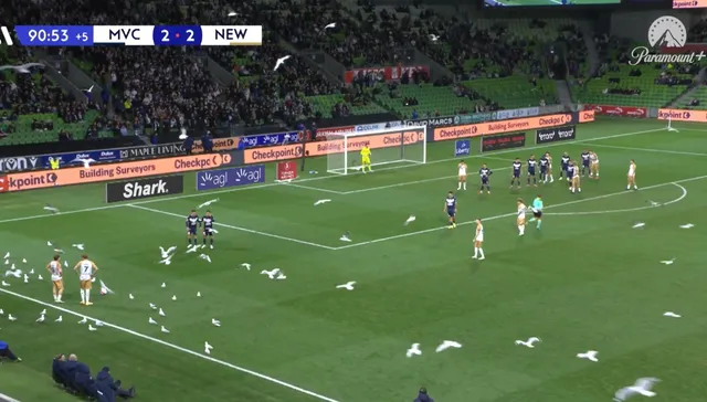 La gaviota ta picoteando