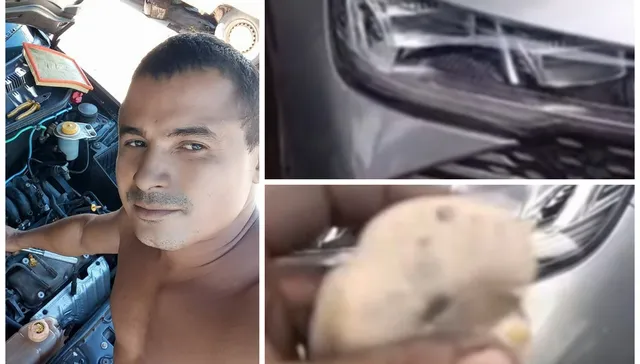 Amigo de fierro