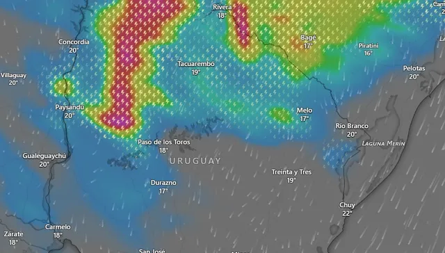 Se usará leña