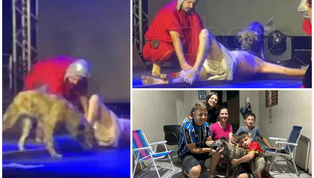 Todos los perros van al cielo