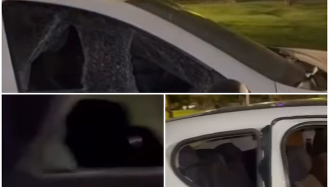 A pesar de las láminas