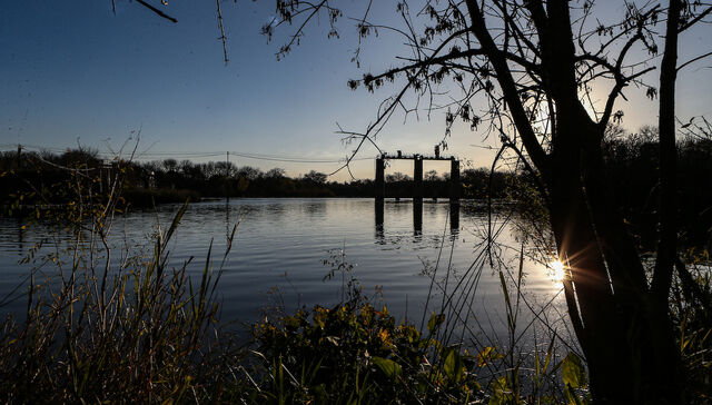 Escribe Sebastián Sabini