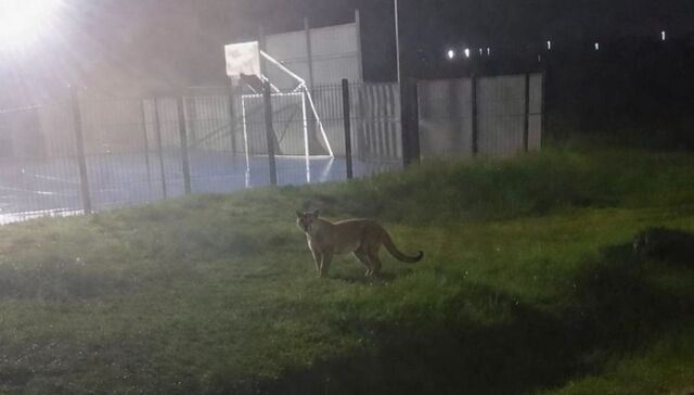 Agárrenlo de las manos