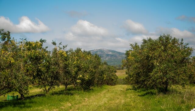 Sabores y experiencias