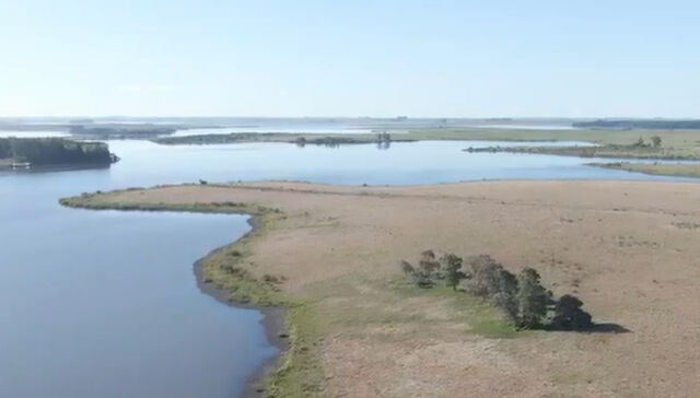 ¿Seleccionado a dedo?