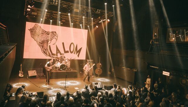 La danza de los Mirlos