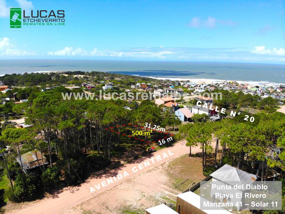 Foto: cedida a Montevideo Portal