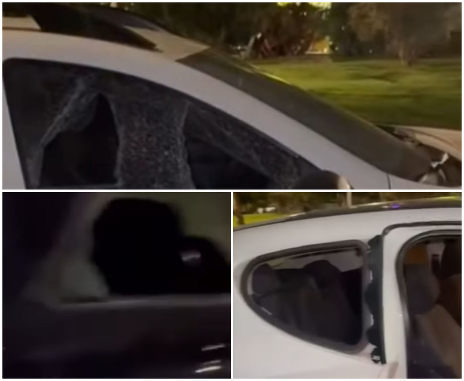 A pesar de las láminas