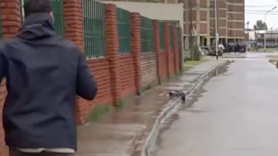 El trípode hizo flash