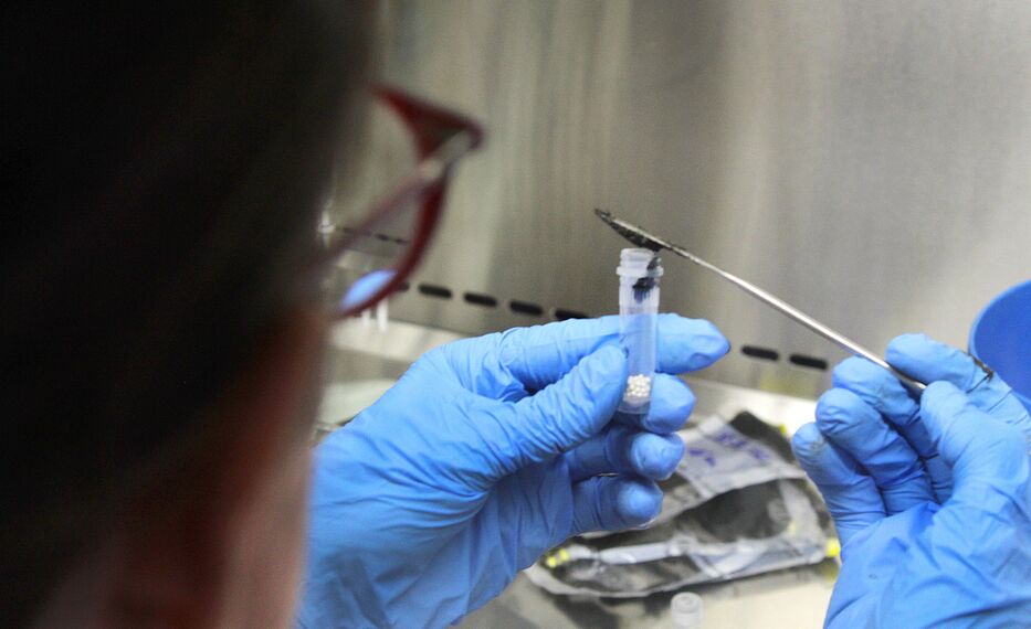 El conocimiento es poder