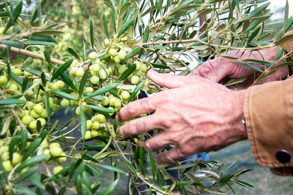 Foto: Micaela de León