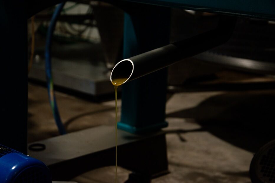 Foto: Micaela de León