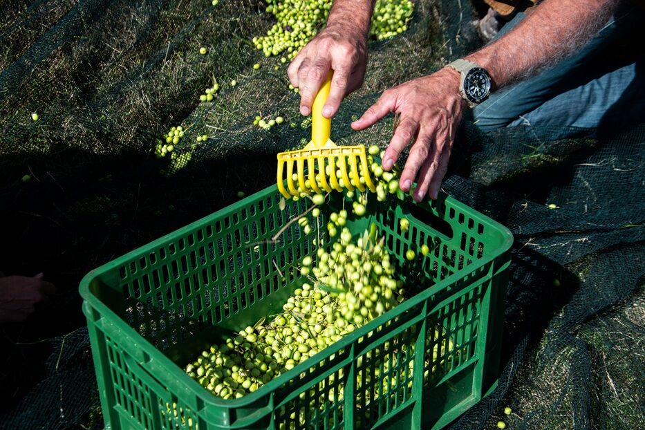 Foto: Micaela de León